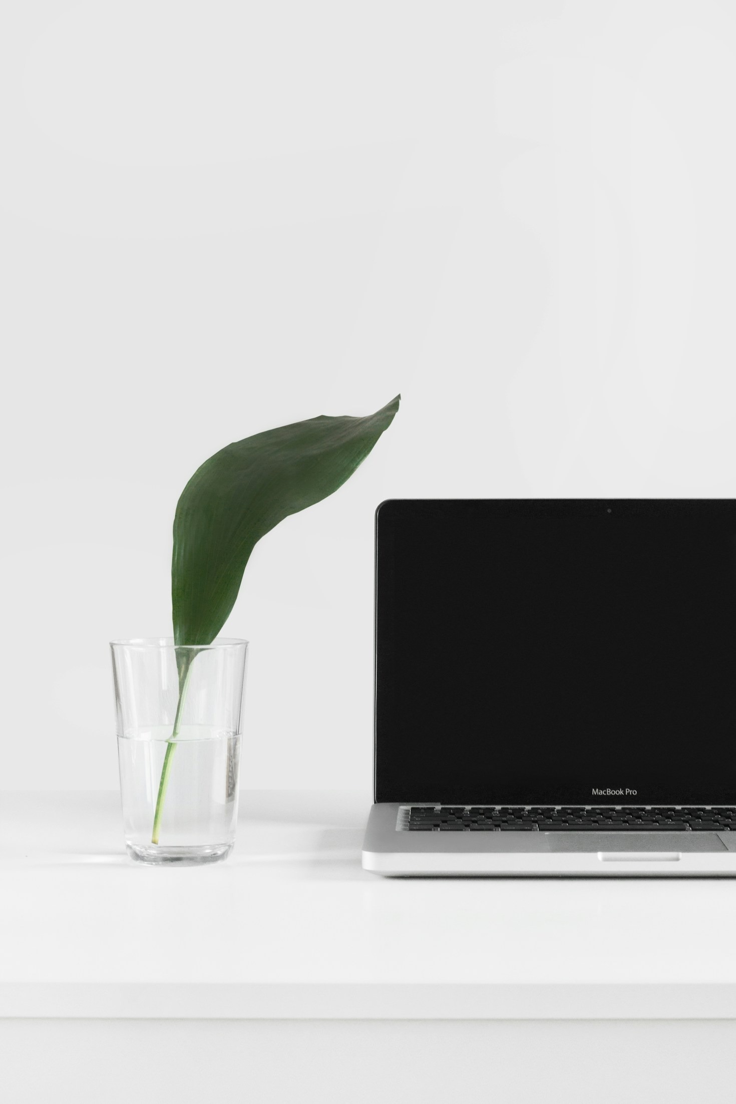 Building a Personal Brand with Purpose